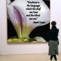 Inspiring Orchid with Mark Twain quote.