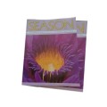 My floral image is on the cover of Season Magazine – Spring 2014