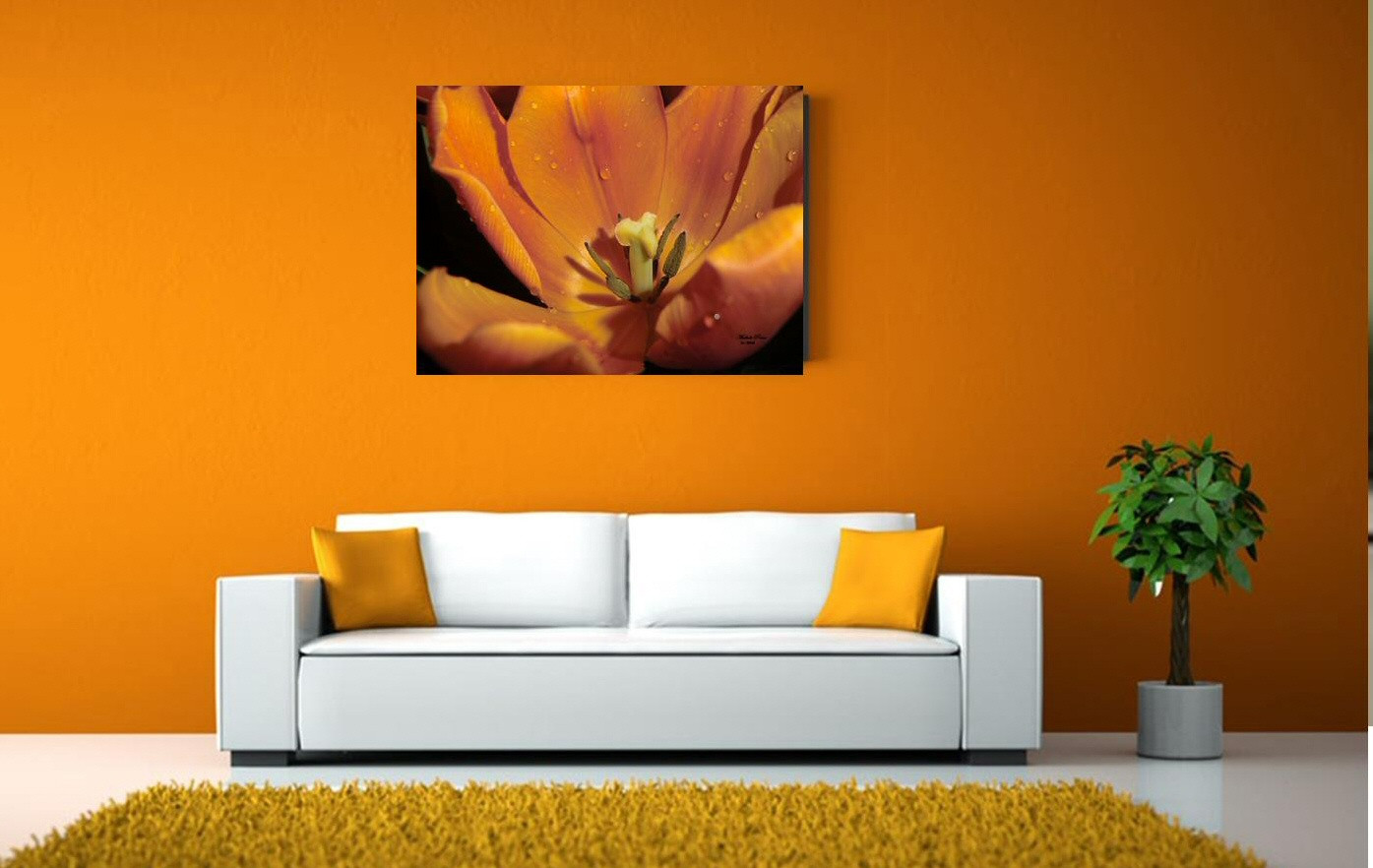 gallery orange transformation canvas (2) cropped